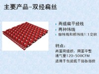 双径扁丝干网