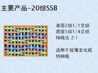 20综SSB成型网