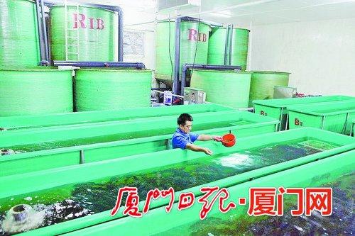 这家企业把大海搬进工厂了是怎么回事