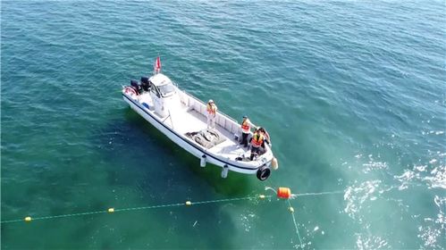烟台第一海水浴场7月1日开放 正布设防鲨网警戒线