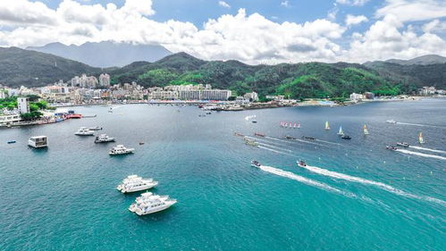海产品 全球采 签约4个项目 渔博会上南澳这场推介会亮了