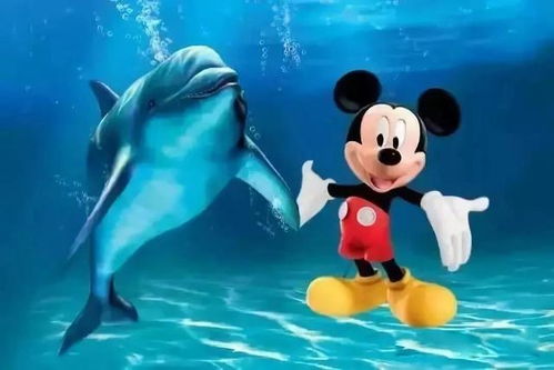 迪士尼的邻居 上海海昌海洋公园如何玩转上海滩