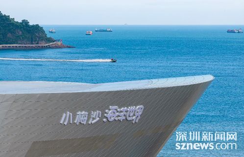 国庆假期首日 小梅沙海洋世界人气火爆