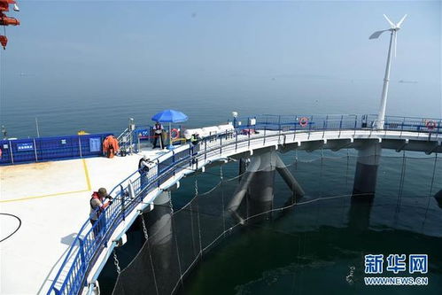 拔 海起牧场 耕 海新牧歌
